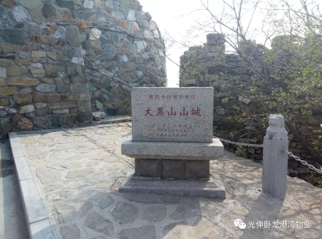 太阳城官网(中国)集团有限公司