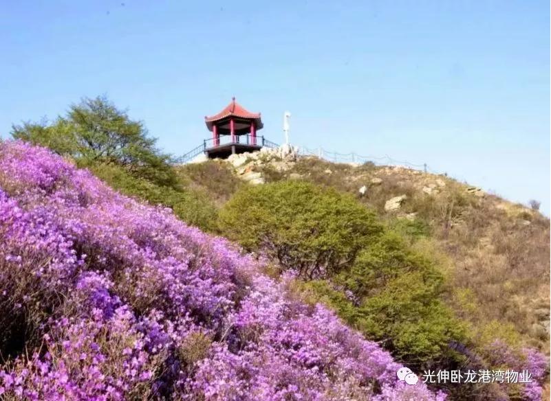 太阳城官网(中国)集团有限公司