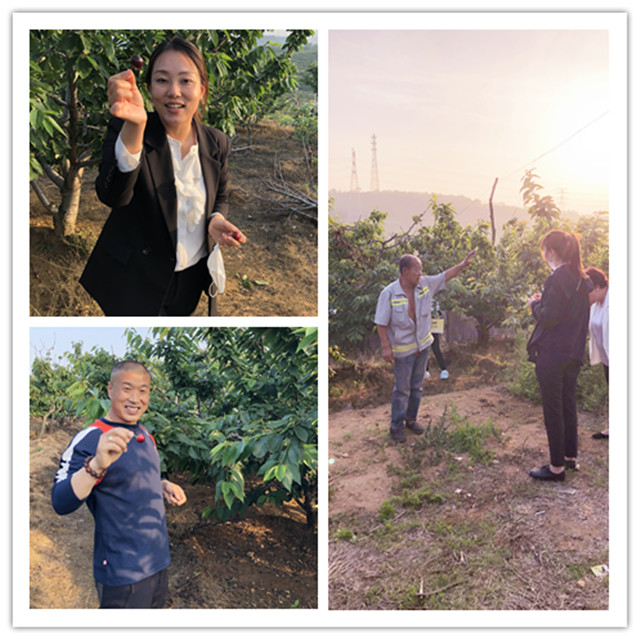 太阳城官网(中国)集团有限公司