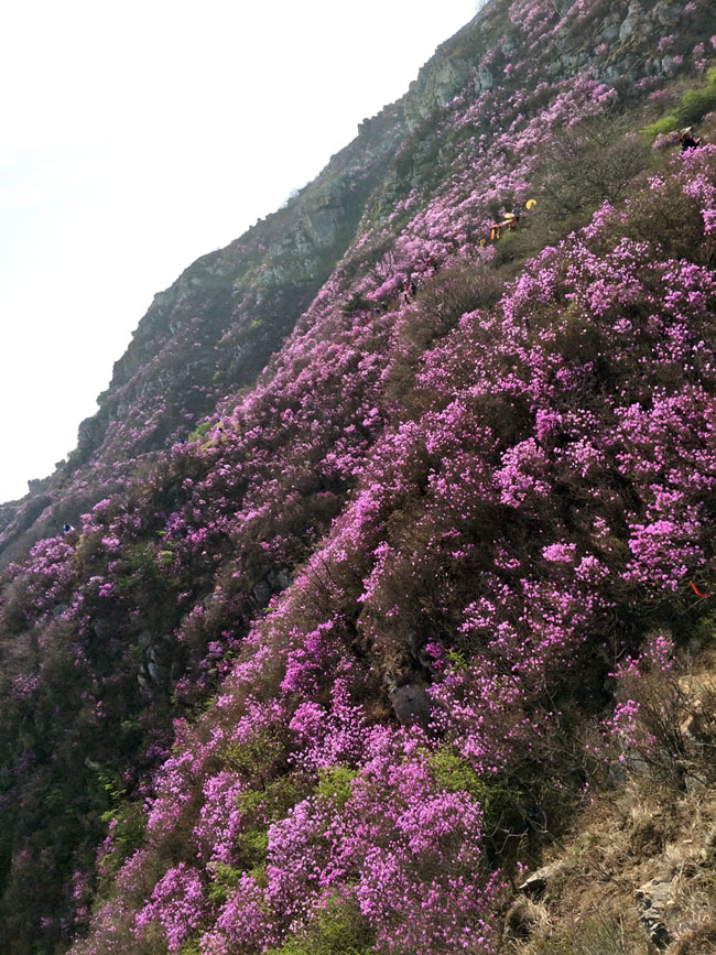 太阳城官网(中国)集团有限公司
