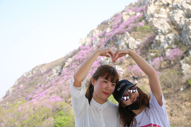 太阳城官网(中国)集团有限公司