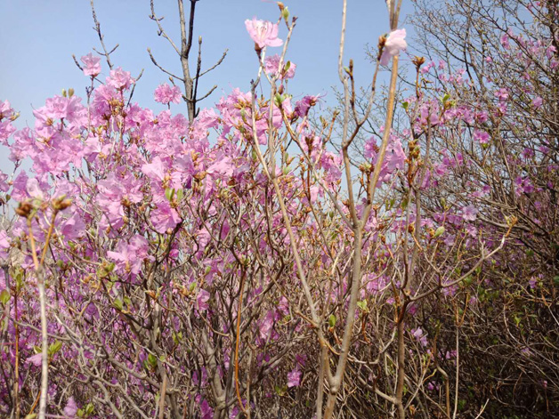 太阳城官网(中国)集团有限公司